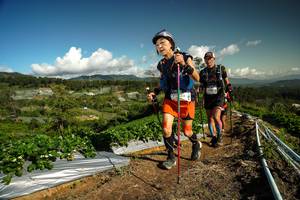 BIB: 
                            <button type="button" onclick="openModal(19125506)" class="btn btn-primary btn-sm float-right btn-popup" data-toggle="modal" data-target=".modal-high-quality">
                        <i class="fas fa-shopping-cart"></i> Add to Cart
                    </button>
                                            <button type="button" onclick="isThisMe(19125506, true)" class="btn btn-success btn-sm float-right btn-popup btn-isme hidden" data-toggle="tooltip" data-placement="bottom" title="นี่คือรูปของคุณใช่ไหม คลิกที่นี่เพื่อเอาเข้าอัลบั้ม">
                        <i class="fas fa-plus"></i> Add to album
                    </button>
                    <button type="button" onclick="isThisMe(19125506, false)" class="btn btn-warning btn-sm float-right btn-popup btn-isnotme hidden">
                        <i class="fas fa-ban"></i> Remove from album
                    </button>